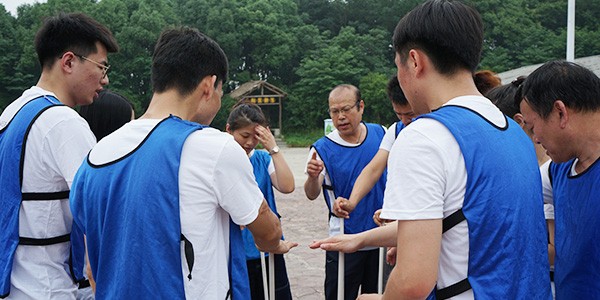 不倒森林.jpg